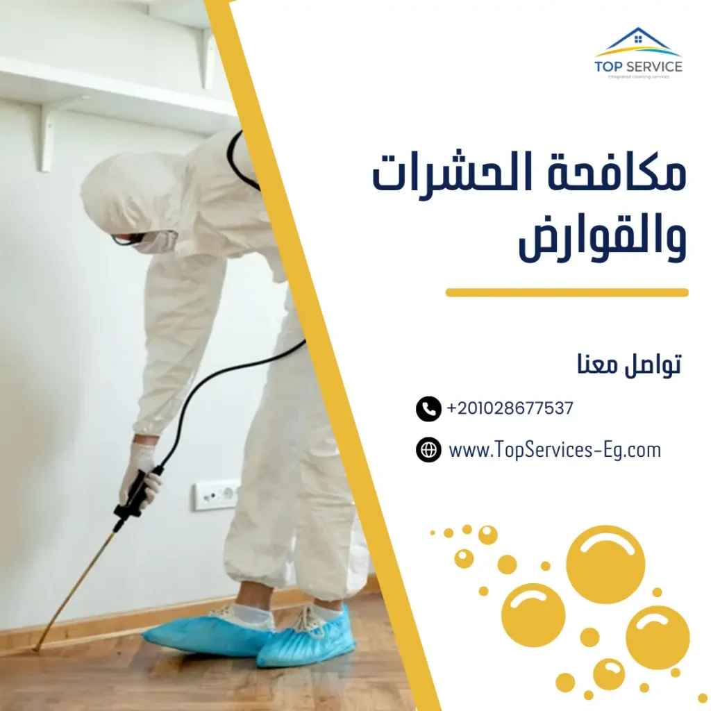 مكافحة الحشرات والقوارض